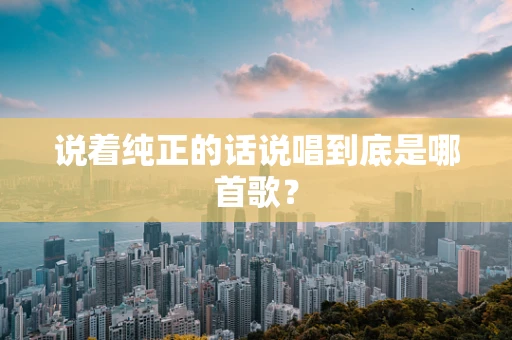 说着纯正的话说唱到底是哪首歌？