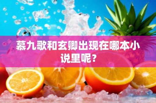 慕九歌和玄卿出现在哪本小说里呢？