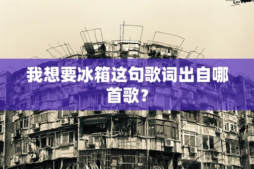 我想要冰箱这句歌词出自哪首歌？