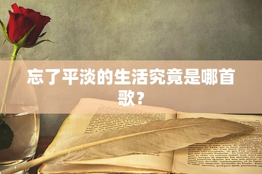 忘了平淡的生活究竟是哪首歌？