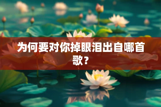 为何要对你掉眼泪出自哪首歌？