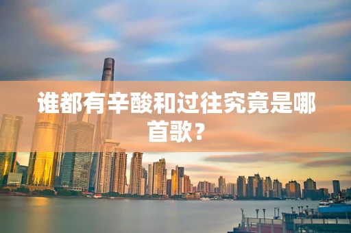 谁都有辛酸和过往究竟是哪首歌？