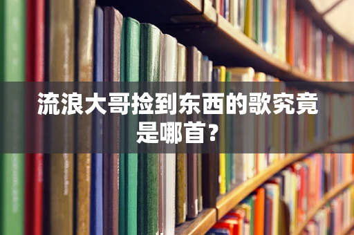 流浪大哥捡到东西的歌究竟是哪首？
