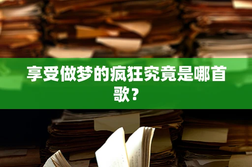享受做梦的疯狂究竟是哪首歌？