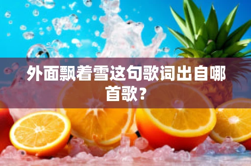 外面飘着雪这句歌词出自哪首歌？