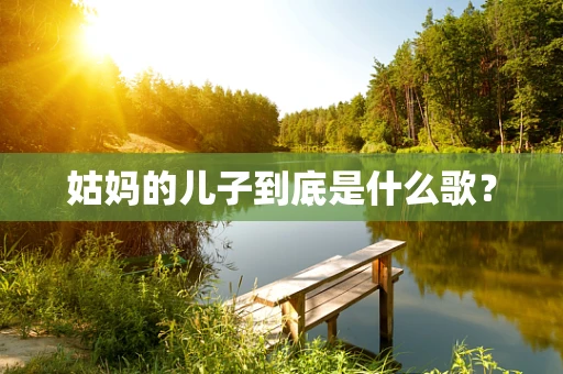姑妈的儿子到底是什么歌？