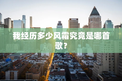我经历多少风霜究竟是哪首歌？