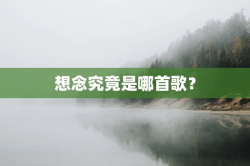 想念究竟是哪首歌？
