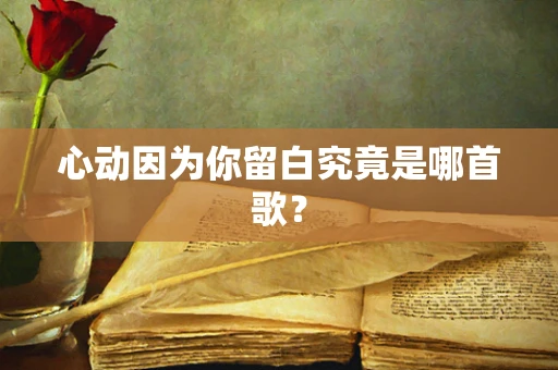 心动因为你留白究竟是哪首歌？