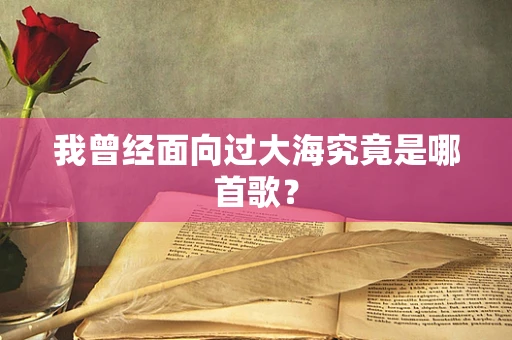 我曾经面向过大海究竟是哪首歌？