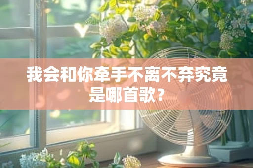 我会和你牵手不离不弃究竟是哪首歌？
