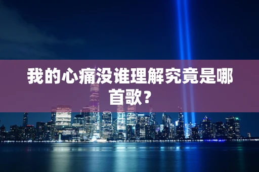 我的心痛没谁理解究竟是哪首歌？