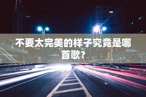 不要太完美的样子究竟是哪首歌？