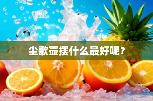 尘歌壶摆什么最好呢？
