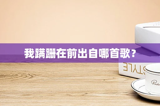 我蹒跚在前出自哪首歌？