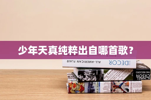 少年天真纯粹出自哪首歌？