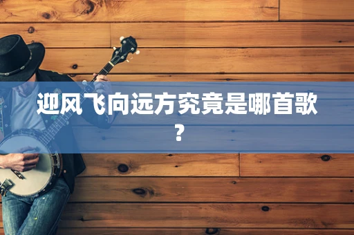 迎风飞向远方究竟是哪首歌？
