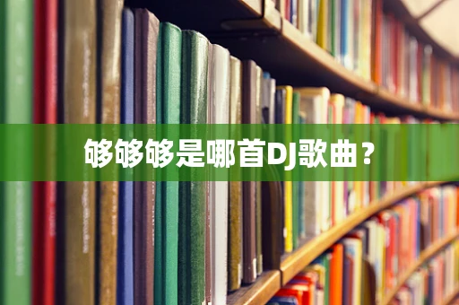 够够够是哪首DJ歌曲？