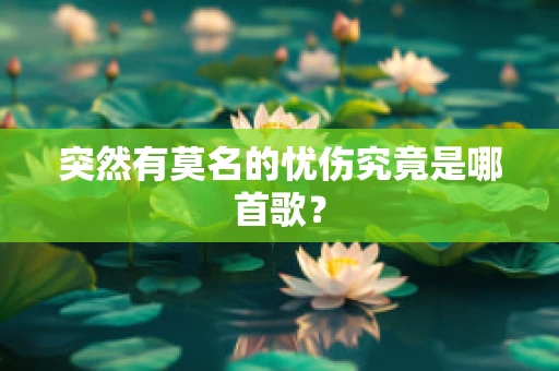 突然有莫名的忧伤究竟是哪首歌？