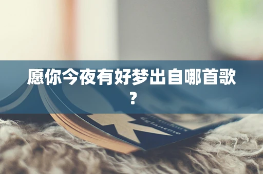 愿你今夜有好梦出自哪首歌？