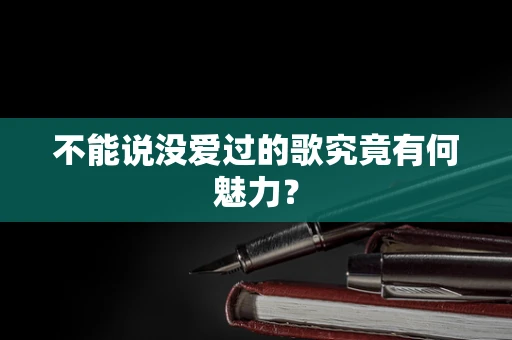 不能说没爱过的歌究竟有何魅力？