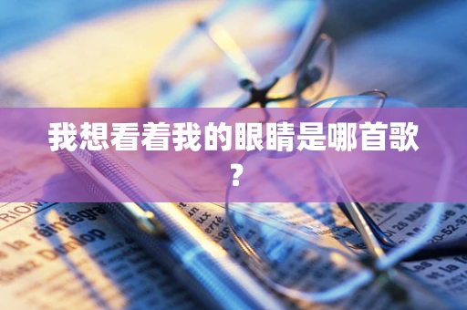 我想看着我的眼睛是哪首歌？