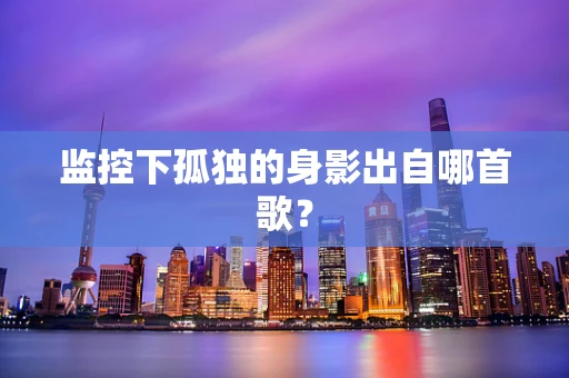 监控下孤独的身影出自哪首歌？