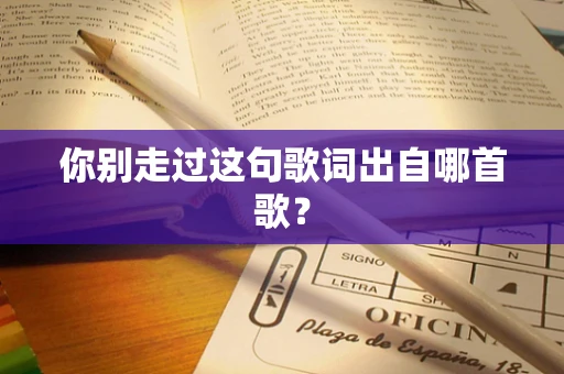 你别走过这句歌词出自哪首歌？