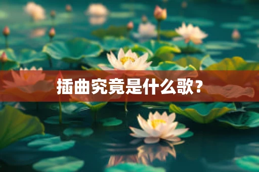 插曲究竟是什么歌？