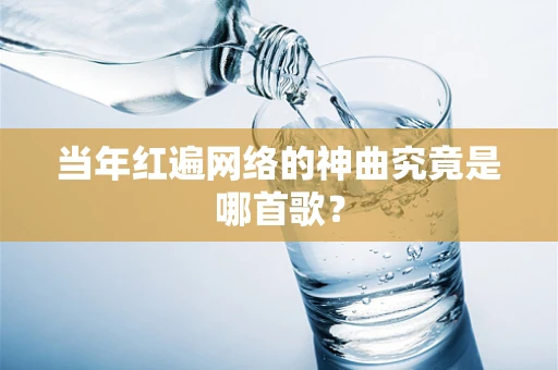 当年红遍网络的神曲究竟是哪首歌？