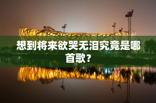 想到将来欲哭无泪究竟是哪首歌？