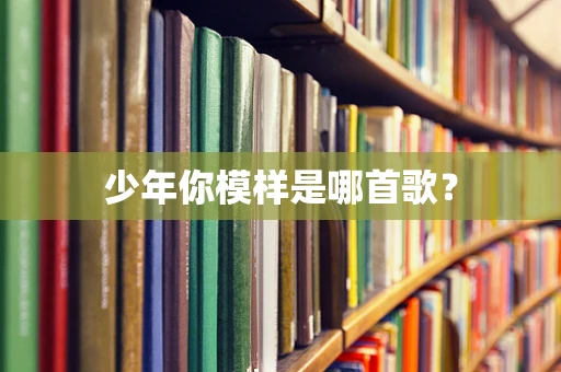少年你模样是哪首歌？