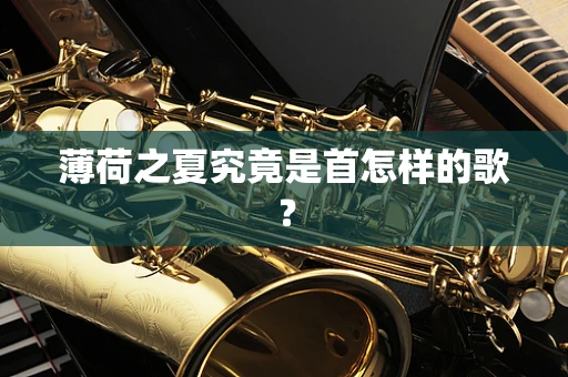 薄荷之夏究竟是首怎样的歌？
