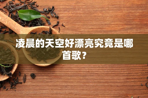 凌晨的天空好漂亮究竟是哪首歌？