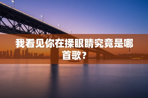 我看见你在揉眼睛究竟是哪首歌？