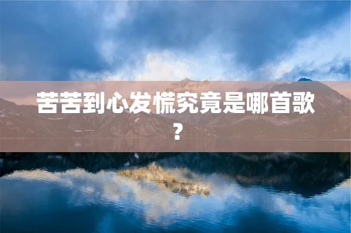 苦苦到心发慌究竟是哪首歌？