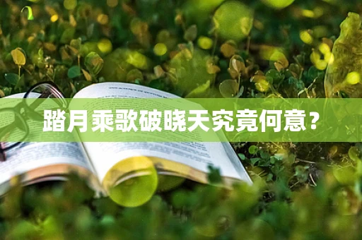 踏月乘歌破晓天究竟何意？