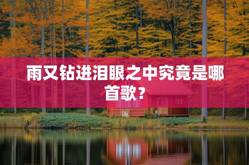 雨又钻进泪眼之中究竟是哪首歌？