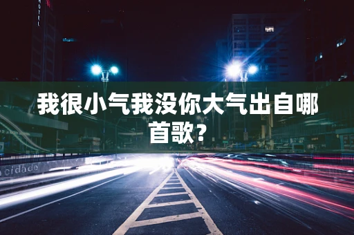 我很小气我没你大气出自哪首歌？