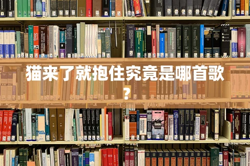 猫来了就抱住究竟是哪首歌？