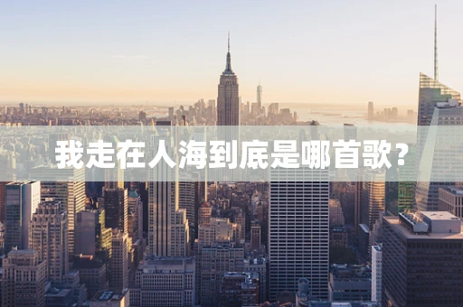 我走在人海到底是哪首歌？