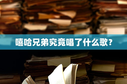 嘻哈兄弟究竟唱了什么歌？