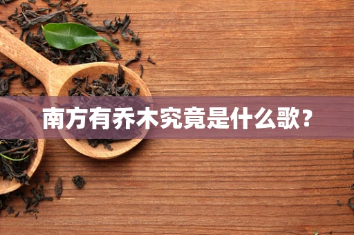 南方有乔木究竟是什么歌？