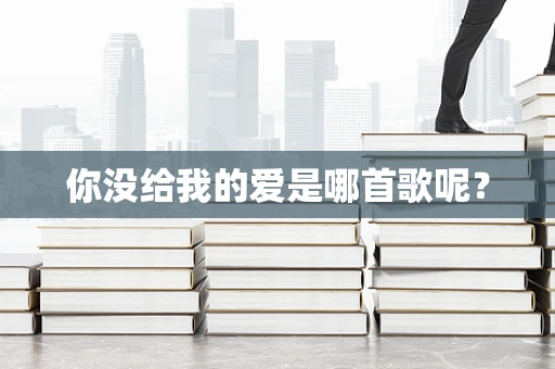 你没给我的爱是哪首歌呢？