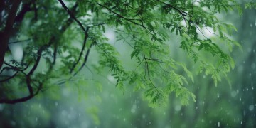 听风听雨不痛不哭出自哪首歌？