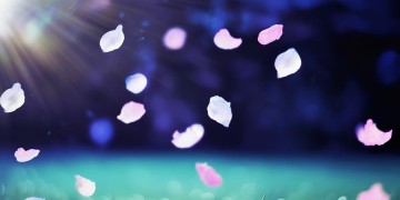 我爱你呀哪里都爱究竟是哪首歌？