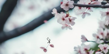 没有你哪里有我究竟是哪首歌？