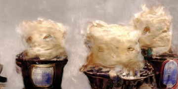 爱我所爱这句歌词出自哪首歌?