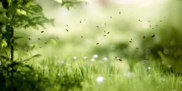 少年你模样是哪首歌？