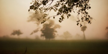 亲吻着晚风飘啊飘究竟是哪首歌?